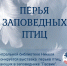 2 Выставка Перья птиц Пасвика - Межпоселенческое библиотечное объединение