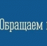 Уважаемые предприниматели! Приглашаем вас принять участие в общегородских субботниках. - Печенгский муниципальный округ